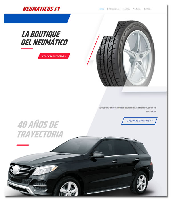 Neumaticos F1