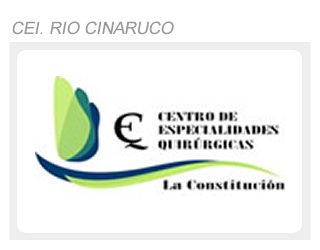 ceq-la-constitucion